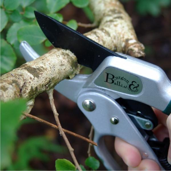 BURGON & BALL Ratchet Pruner - RHS Endorsed