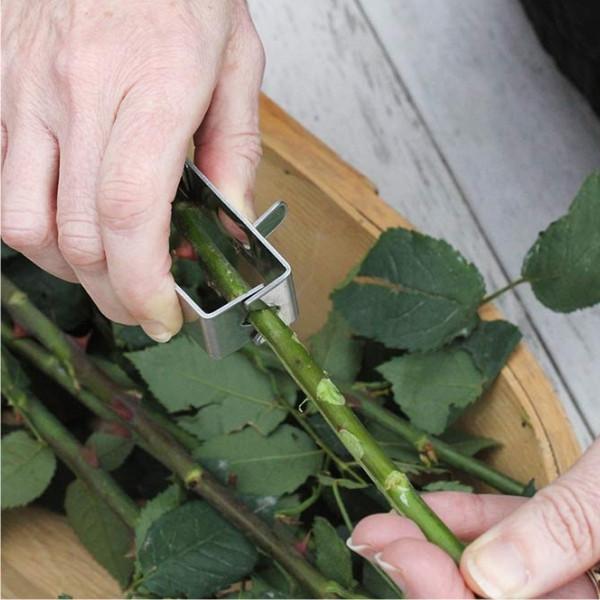BURGON & BALL Essential Tools - Rose Garden Thorn Stripper