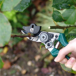 BURGON & BALL Rose Garden Pruner - Cut and Hold