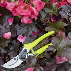 BURGON & BALL FloraBrite Yellow Gardening Bypass Secateurs