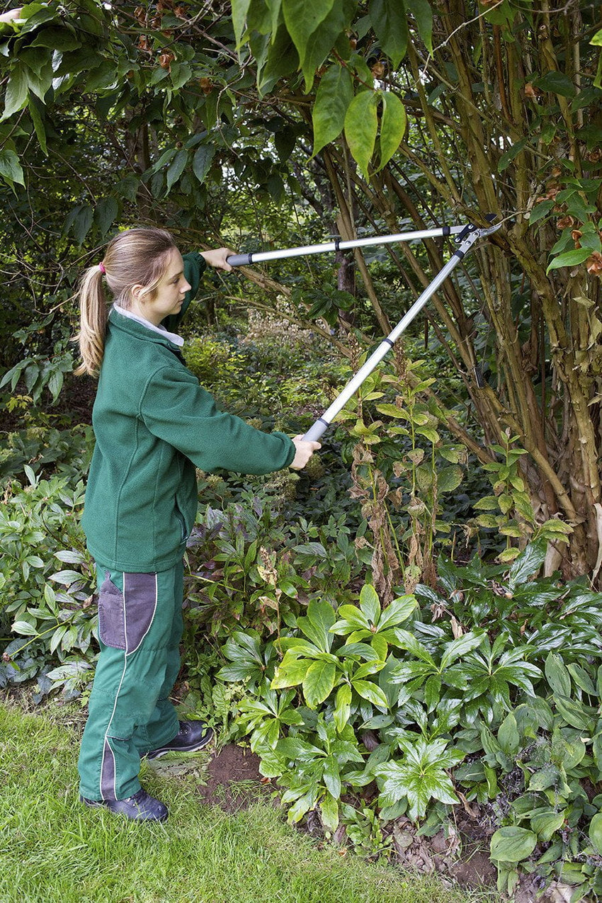 BURGON & BALL Telescopic Anvil Tree Lopper - RHS Endorsed