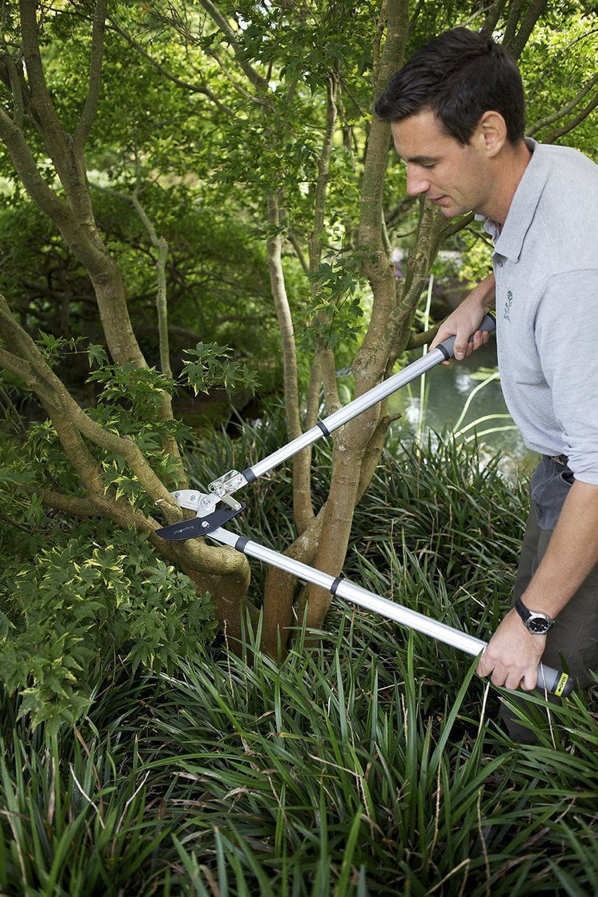 BURGON & BALL Telescopic Ratchet Tree Lopper - RHS Endorsed