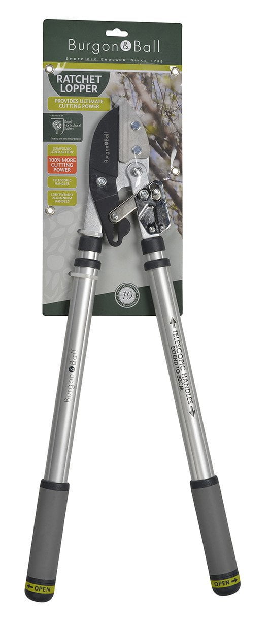 BURGON & BALL Telescopic Ratchet Tree Lopper - RHS Endorsed