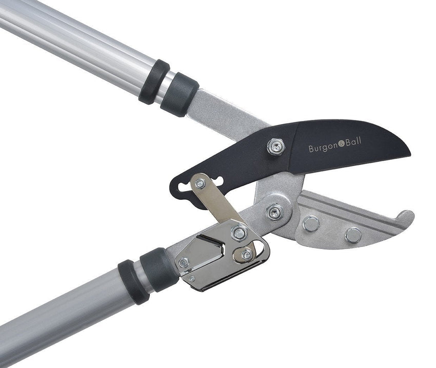 BURGON & BALL Telescopic Ratchet Tree Lopper - RHS Endorsed