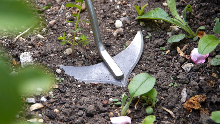 BURGON & BALL Garden Weed Slice - Short Handled